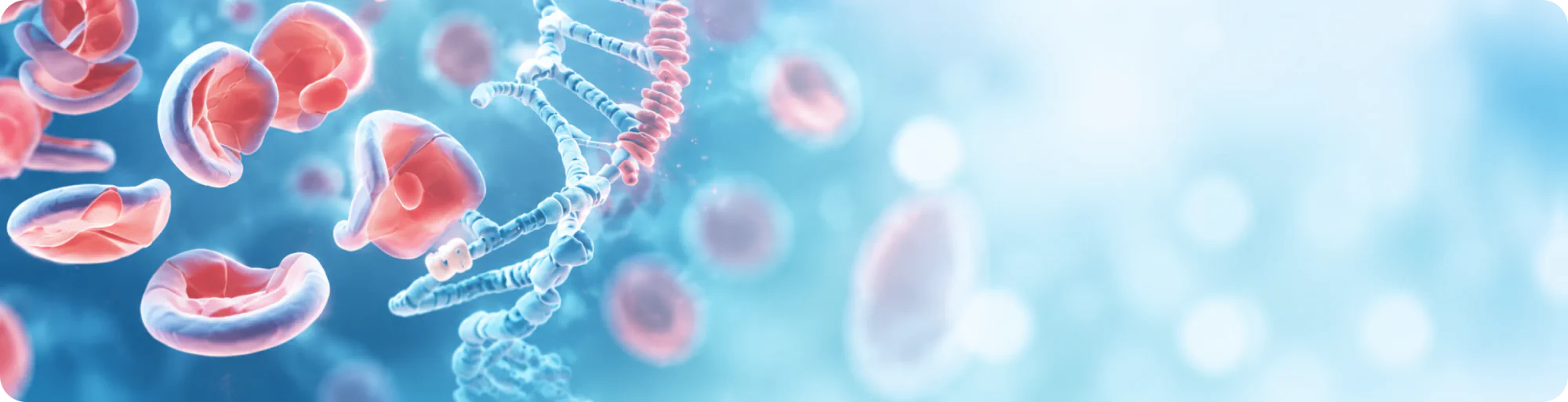 CRISPR genome editing targeting BCL11A for hemoglobinopathies